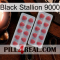 Black Stallion 9000 19